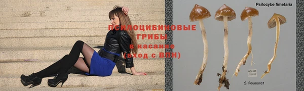 кокс Покачи